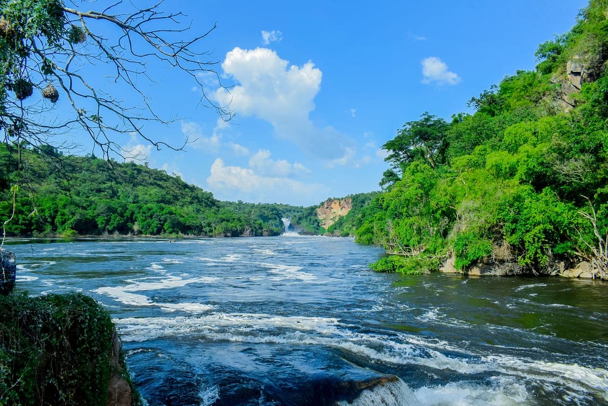The Nile valley — a ribbon of green through the Egyptian desert