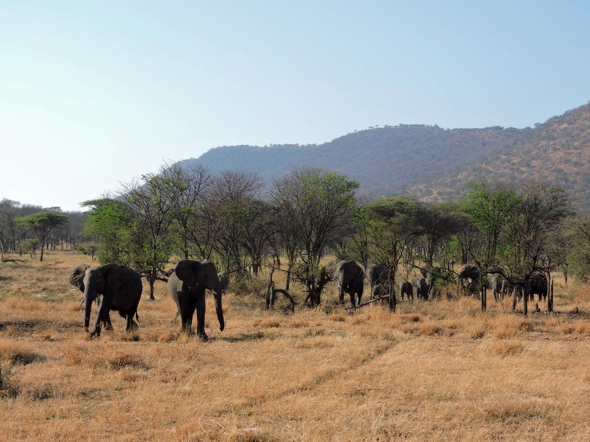 Tanzania