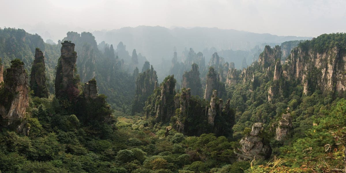 Zhangjiajie National Forest
