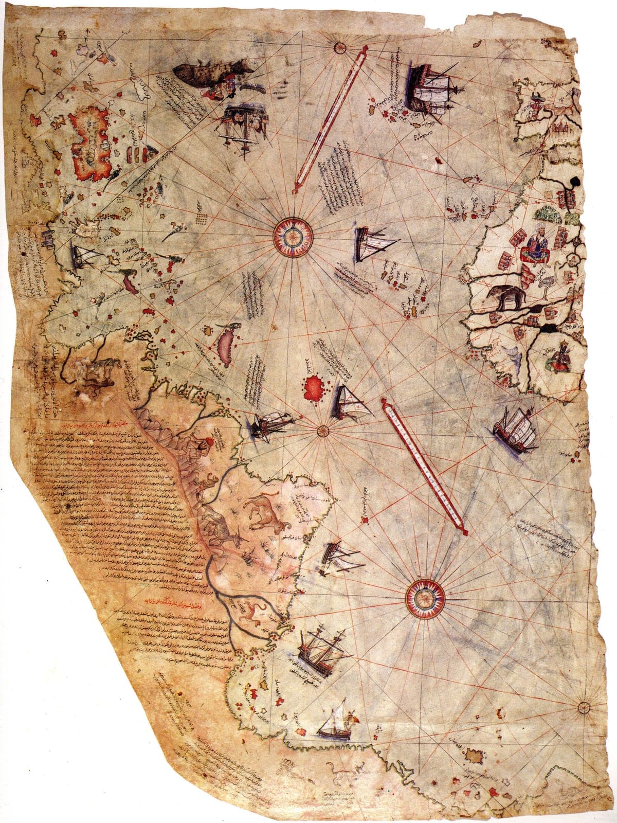 How Did Countries Get Their Names? The Fascinating Origins Explained